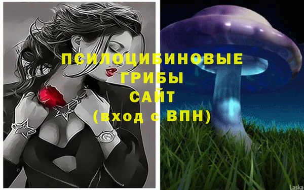 дмт Магас
