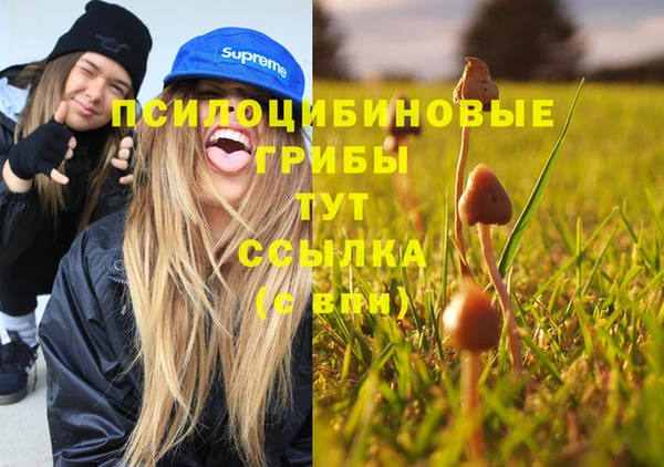 дмт Магас