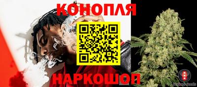 бошки Балахна