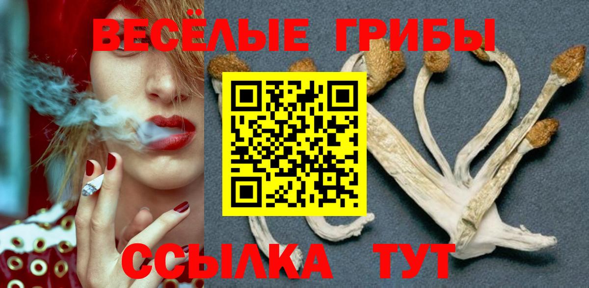 Ногинск  Псилоцибиновые грибы Psilocybine cubensis  Псилоцибиновые грибы Cubensis  Вход с VPN 