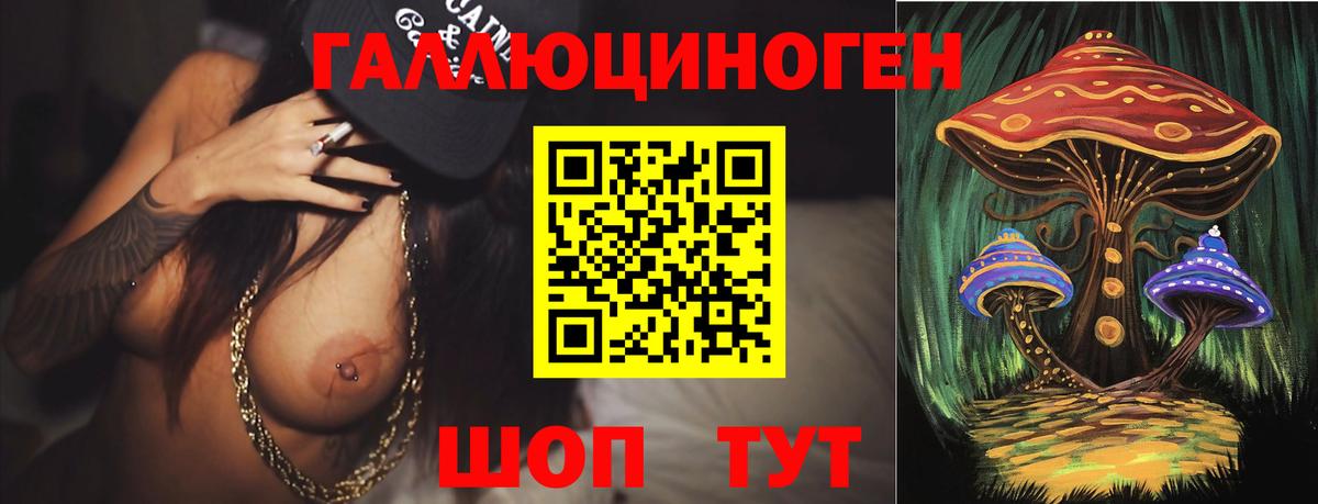 Галлюциногенные грибы мухоморы  Ногинск  Галлюциногенные грибы ЛСД 