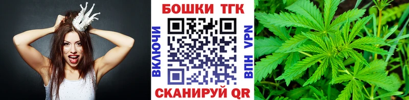 Бошки Шишки ГИДРОПОН  купить наркотики цена  Ногинск 